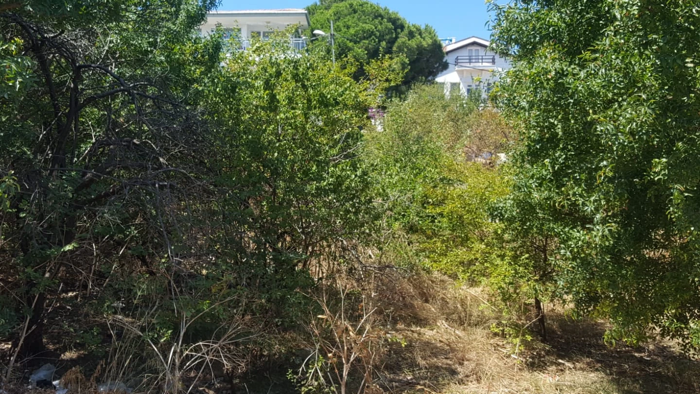 2 Kınalıada 251 Ada 2-3 Parsel