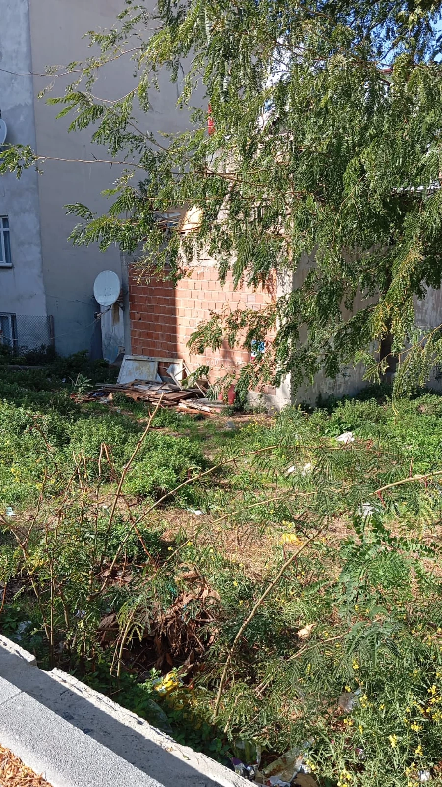 34 Gaziosmanpaşa Küçükköy Mah. 774-1 Sok